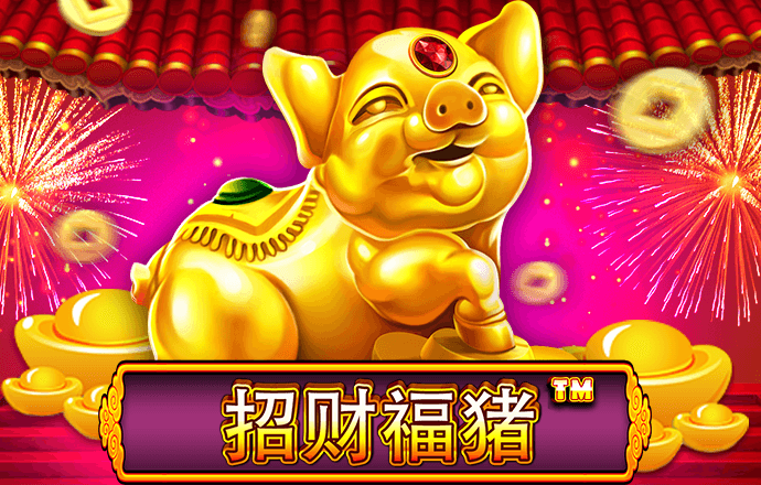 6t体育
